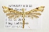  ( - NHMO-DAR-1499)  @13 [ ] No Rights Reserved (2014) Arild Johnsen University of Oslo, Natural History Museum