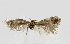  ( - NHMO-DAR-14118)  @11 [ ] CreativeCommons - Attribution Non-Commercial Share-Alike (2017) Unspecified University of Oslo, Natural History Museum