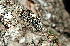  ( - UT05)  @11 [ ] Unspecified (default): All Rights Reserved  Unspecified Unspecified