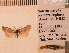  ( - UT10)  @11 [ ] Unspecified (default): All Rights Reserved  Unspecified Unspecified