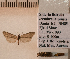  ( - UT11)  @11 [ ] Unspecified (default): All Rights Reserved  Unspecified Unspecified