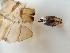  ( - EL6187)  @12 [ ] Unspecified (default): All Rights Reserved  Unspecified Unspecified