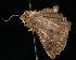  ( - 05-QLD-00508)  @12 [ ] Copyright (2010) Unspecified Unspecified