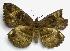  ( - gvc00007-1L)  @14 [ ] Copyright (2004) Unspecified Unspecified