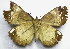  ( - gvc00007-1L)  @13 [ ] Copyright (2004) Unspecified Unspecified