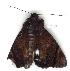  ( - gvc1588-1L)  @12 [ ] Copyright (2004) Unspecified Unspecified