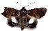 ( - gvc1588-1L)  @13 [ ] Copyright (2004) Unspecified Unspecified