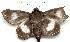  ( - gvc1588-1L)  @13 [ ] Copyright (2004) Unspecified Unspecified