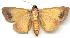  ( - gvc1599-1L)  @13 [ ] Copyright (2004) Unspecified Unspecified