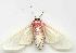  ( - gvc1600-1L)  @12 [ ] Copyright (2004) Unspecified Unspecified