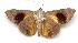  ( - gvc2077-1L)  @13 [ ] Copyright (2004) Unspecified Unspecified