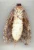  ( - gvc2120-1L)  @12 [ ] Copyright (2004) Unspecified Unspecified