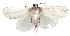  ( - gvc2184-1L)  @12 [ ] Copyright (2004) Unspecified Unspecified