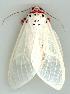  ( - gvc3077-1L)  @12 [ ] Copyright (2004) Unspecified Unspecified