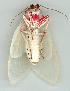  ( - gvc3077-1L)  @12 [ ] Copyright (2004) Unspecified Unspecified