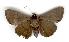  ( - gvc3344-1L)  @13 [ ] Copyright (2004) Unspecified Unspecified