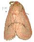  ( - gvc4644-1L)  @12 [ ] Copyright (2004) Unspecified Unspecified