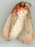  ( - gvc4644-1L)  @12 [ ] Copyright (2004) Unspecified Unspecified