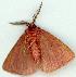  ( - gvc5118-1L)  @13 [ ] Copyright (2004) Unspecified Unspecified
