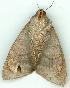  ( - gvc5621-1L)  @12 [ ] Copyright (2004) Unspecified Unspecified