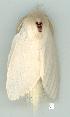  ( - gvc5678-1L)  @13 [ ] Copyright (2004) Unspecified Unspecified
