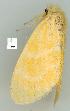  ( - gvc5797-1L)  @12 [ ] Copyright (2004) Unspecified Unspecified