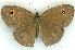  ( - gvc5881-1L)  @13 [ ] Copyright (2004) Unspecified Unspecified