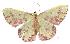  ( - gvc5893-1L)  @14 [ ] Copyright (2004) Unspecified Unspecified