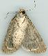  ( - gvc5957-1L)  @12 [ ] Copyright (2004) Unspecified Unspecified