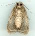  ( - gvc5971-1L)  @13 [ ] Copyright (2004) Unspecified Unspecified