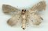  ( - gvc5971-1L)  @13 [ ] Copyright (2004) Unspecified Unspecified