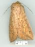  ( - gvc6137-1L)  @13 [ ] Copyright (2004) Unspecified Unspecified