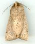  ( - gvc6137-1L)  @13 [ ] Copyright (2004) Unspecified Unspecified