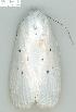  ( - gvc6170-1L)  @13 [ ] Copyright (2004) Unspecified Unspecified