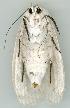  ( - gvc6170-1L)  @12 [ ] Copyright (2004) Unspecified Unspecified