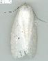  ( - gvc6174-1L)  @13 [ ] Copyright (2004) Unspecified Unspecified