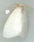 ( - gvc6179-1L)  @12 [ ] Copyright (2004) Unspecified Unspecified