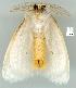  ( - gvc6179-1L)  @12 [ ] Copyright (2004) Unspecified Unspecified