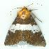  ( - gvc6191-1L)  @12 [ ] Copyright (2004) Unspecified Unspecified