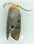  ( - gvc6235-1L)  @12 [ ] Copyright (2004) Unspecified Unspecified