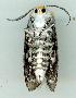  ( - gvc6235-1L)  @12 [ ] Copyright (2004) Unspecified Unspecified