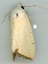  ( - gvc6297-1L)  @12 [ ] Copyright (2004) Unspecified Unspecified