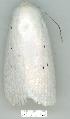  ( - gvc6299-1L)  @12 [ ] Copyright (2004) Unspecified Unspecified
