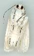  ( - gvc6299-1L)  @12 [ ] Copyright (2004) Unspecified Unspecified