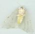  ( - gvc6341-1L)  @13 [ ] Copyright (2004) Unspecified Unspecified