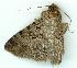  ( - gvc6409-1L)  @13 [ ] Copyright (2004) Unspecified Unspecified