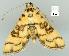  ( - gvc6448-1L)  @13 [ ] Copyright (2004) Unspecified Unspecified