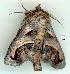  ( - gvc6450-1L)  @13 [ ] Copyright (2004) Unspecified Unspecified
