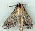  ( - gvc6450-1L)  @13 [ ] Copyright (2004) Unspecified Unspecified