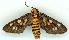  ( - gvc6479-1L)  @13 [ ] Copyright (2004) Unspecified Unspecified